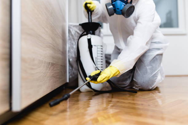 Best Pest Control Near Me  in Scenic, AZ