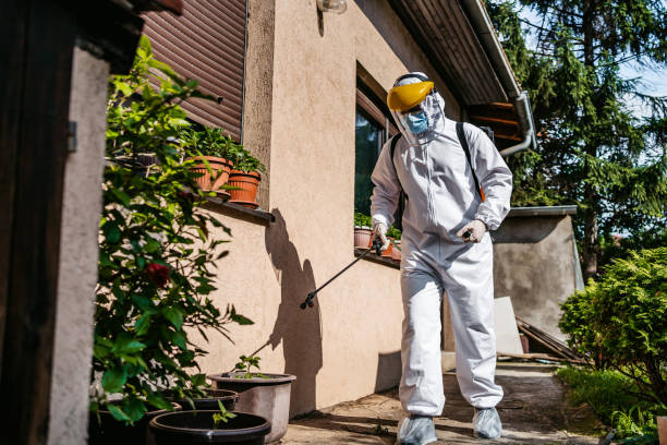 Best Affordable Pest Control Services  in Scenic, AZ