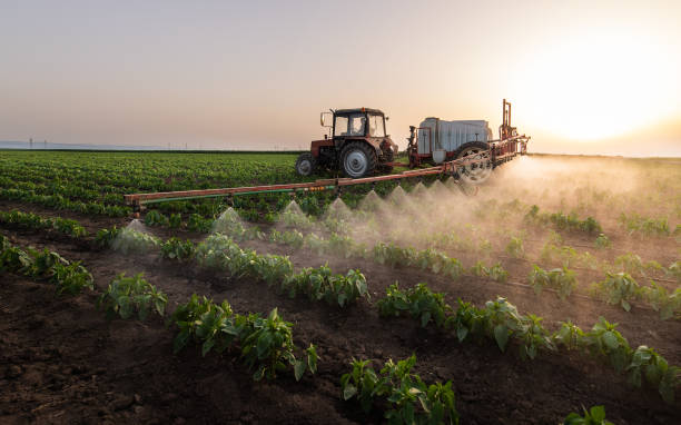 Pest Prevention Services in Scenic, AZ