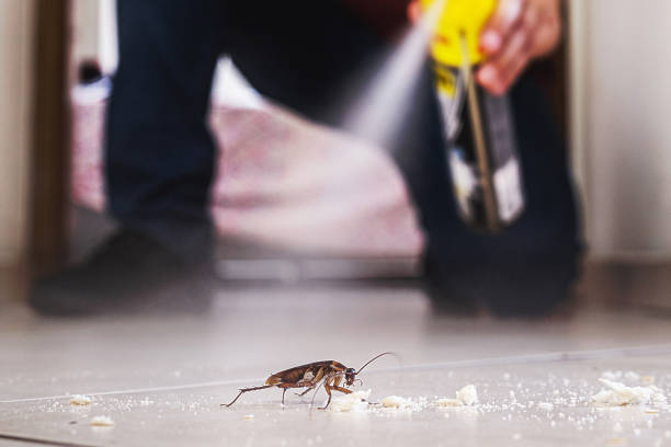 Best Exterminator Services  in Scenic, AZ
