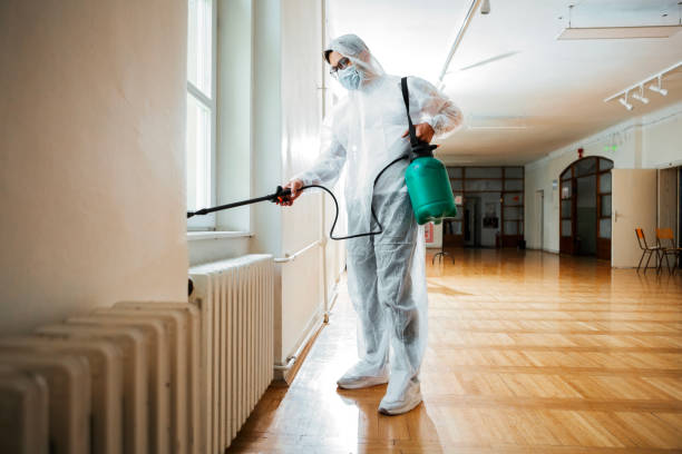 Best Mosquito Control Services  in Scenic, AZ